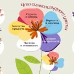 что означает