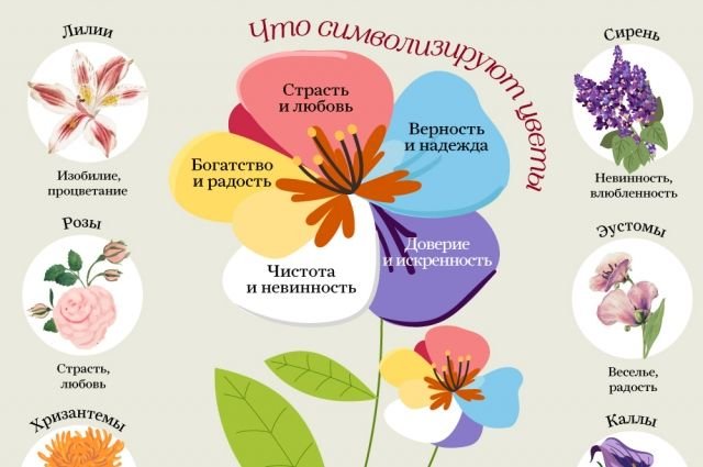 что означает