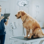 автоматизувати