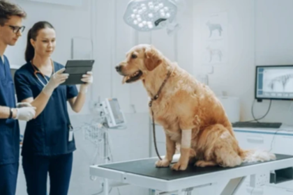 автоматизувати