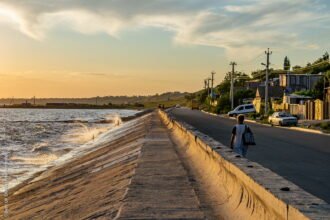 коллаборант